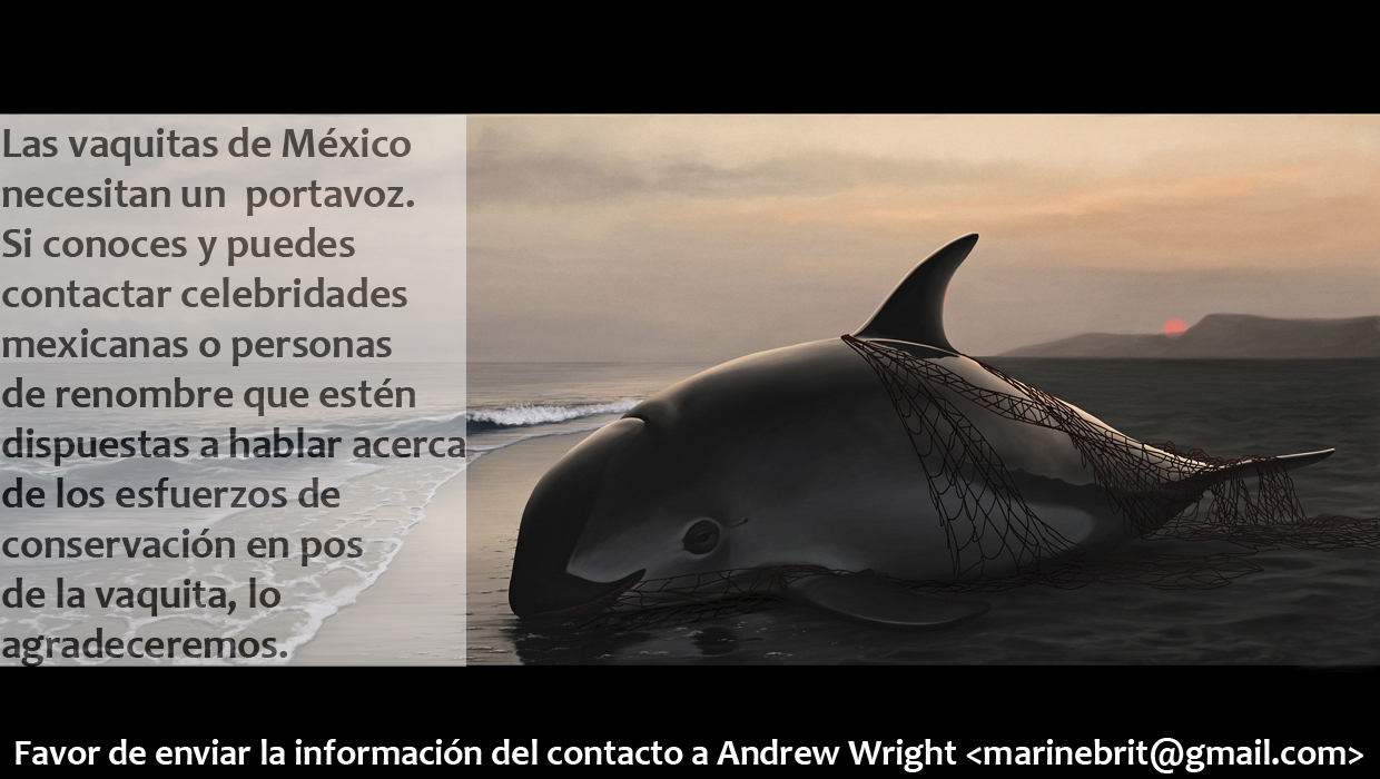 Mexico bans gill nets to save vaquita porpoises