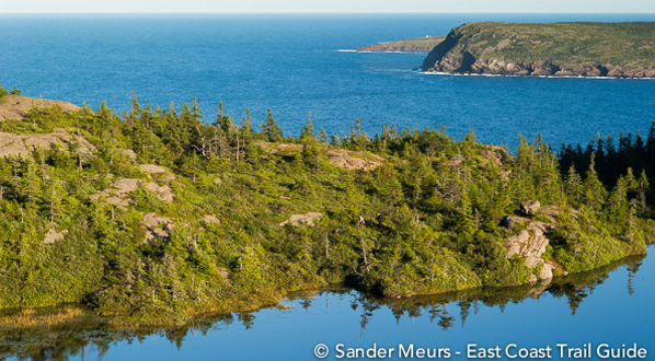 Photo View from east coast trail to Cape Spear in far distance