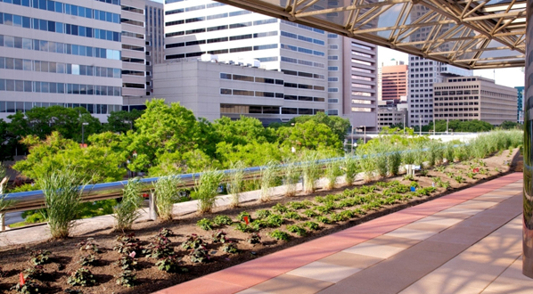 Photo The Baltimore Convention Center completed a 27,000 square foot green roof in 2010