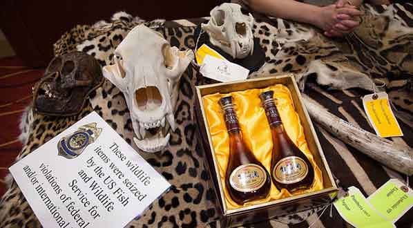 Photo Federal agents show items from the illegal trade in wildlife at an SCB conference.