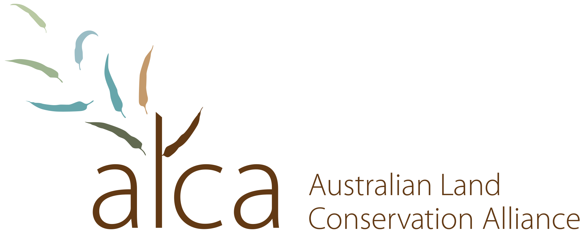 Logo 1