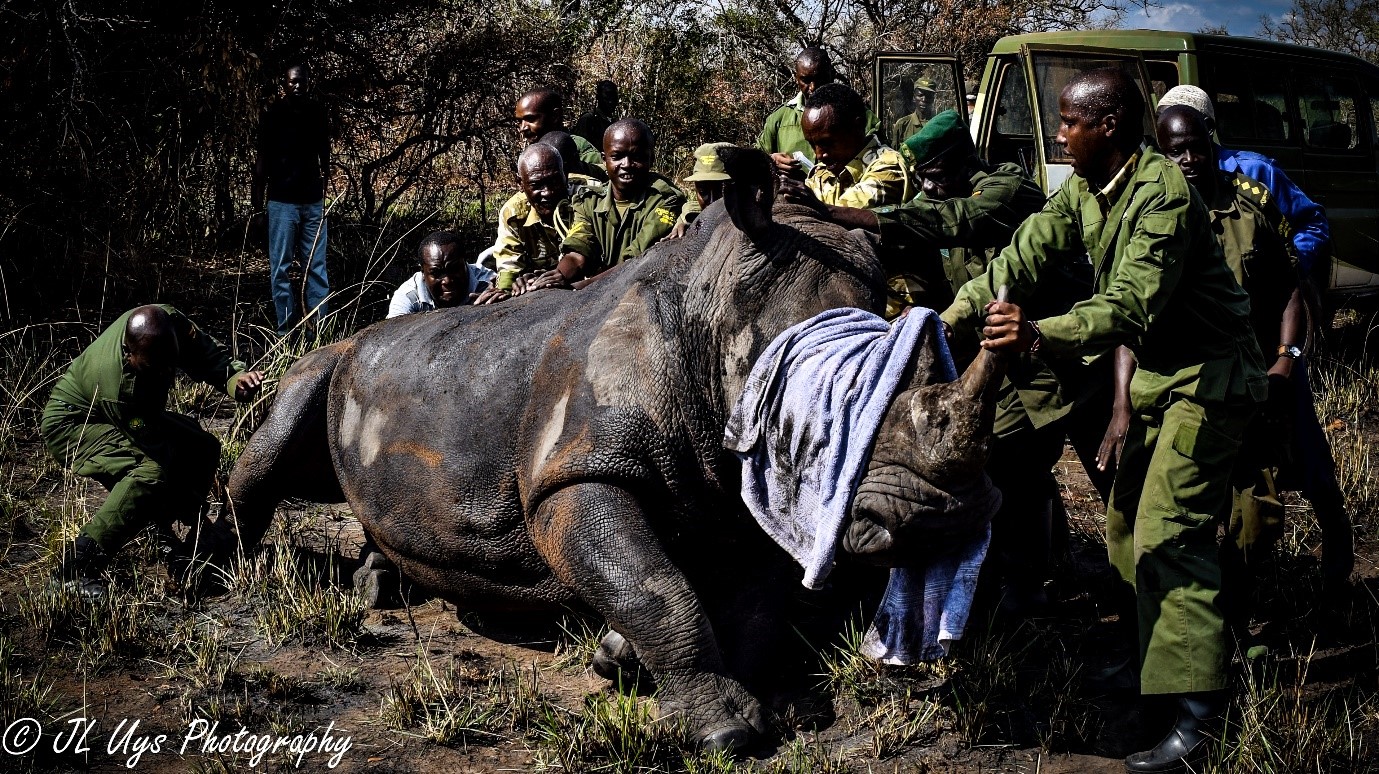 Society for Conservation Biology | Ziwa Rhino Sanctuary, Uganda: A ...