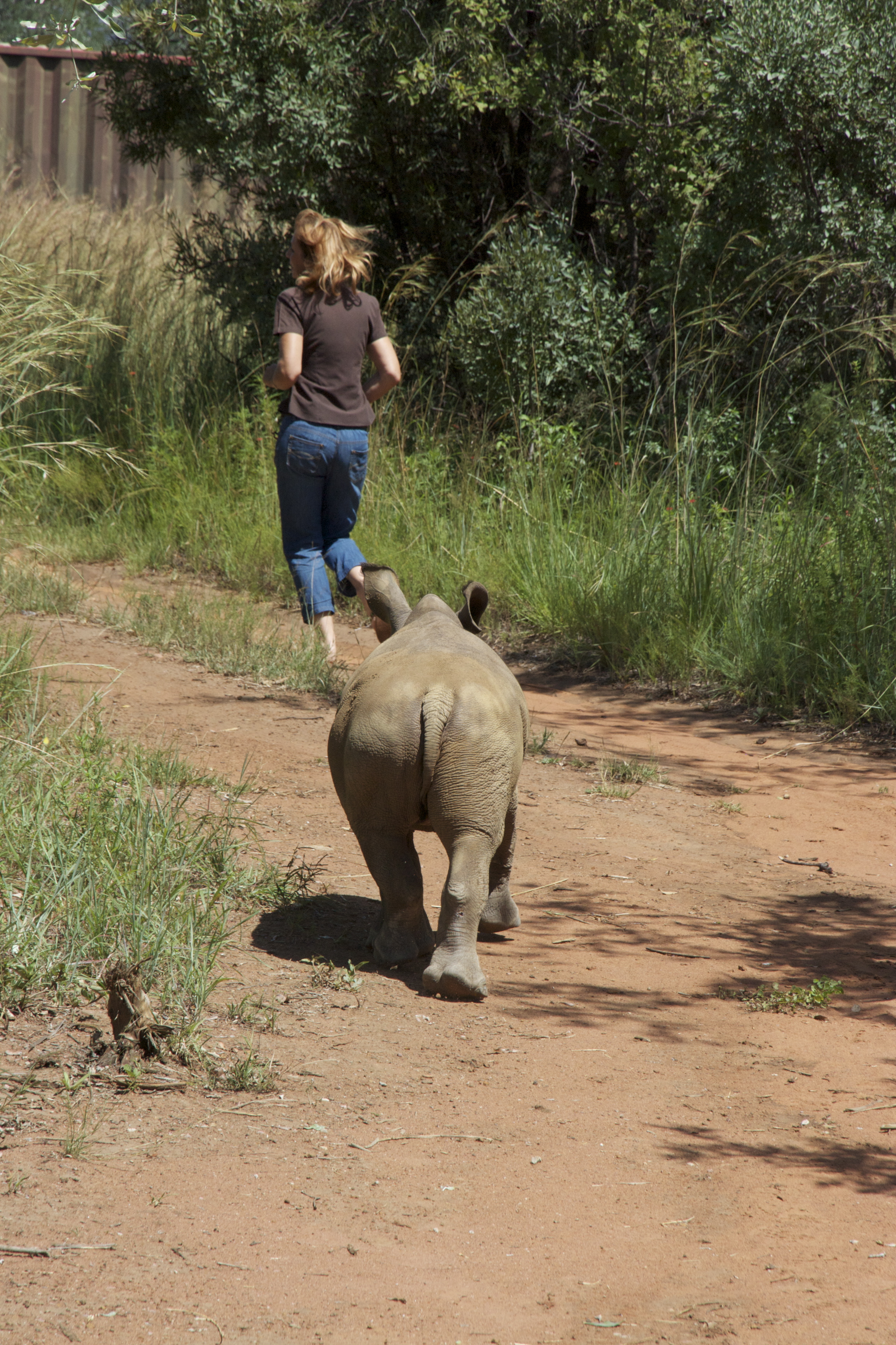 Society for Conservation Biology