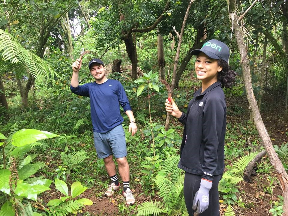 Society For Conservation Biology Chapters Corner Scb Hawaii Chapter