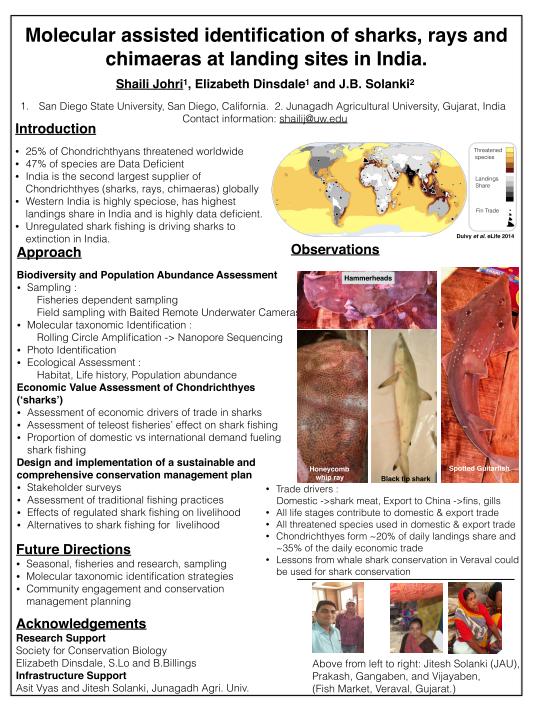 Molecular assisted identiﬁcation of sharks, rays and  chimaeras at landing sites in India.