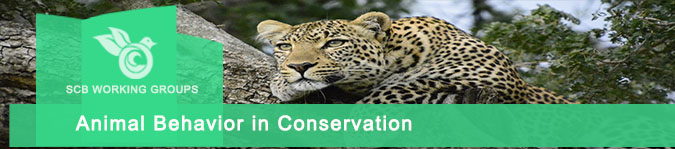 Society for Conservation Biology | Animal Behavior in Conservation Working  Group
