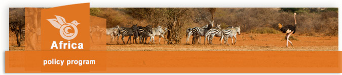 africa-section-iniatives image
