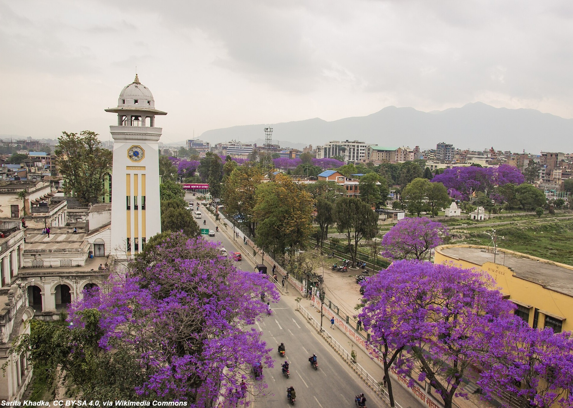 Photo The view of Ghanta ghar in Kathmandu city center, Nepal with blossom Jacaranda flower