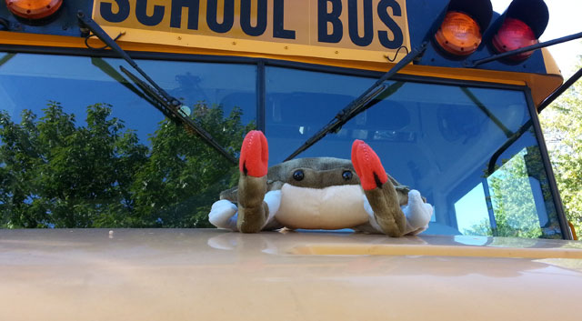 Photo On the school bus