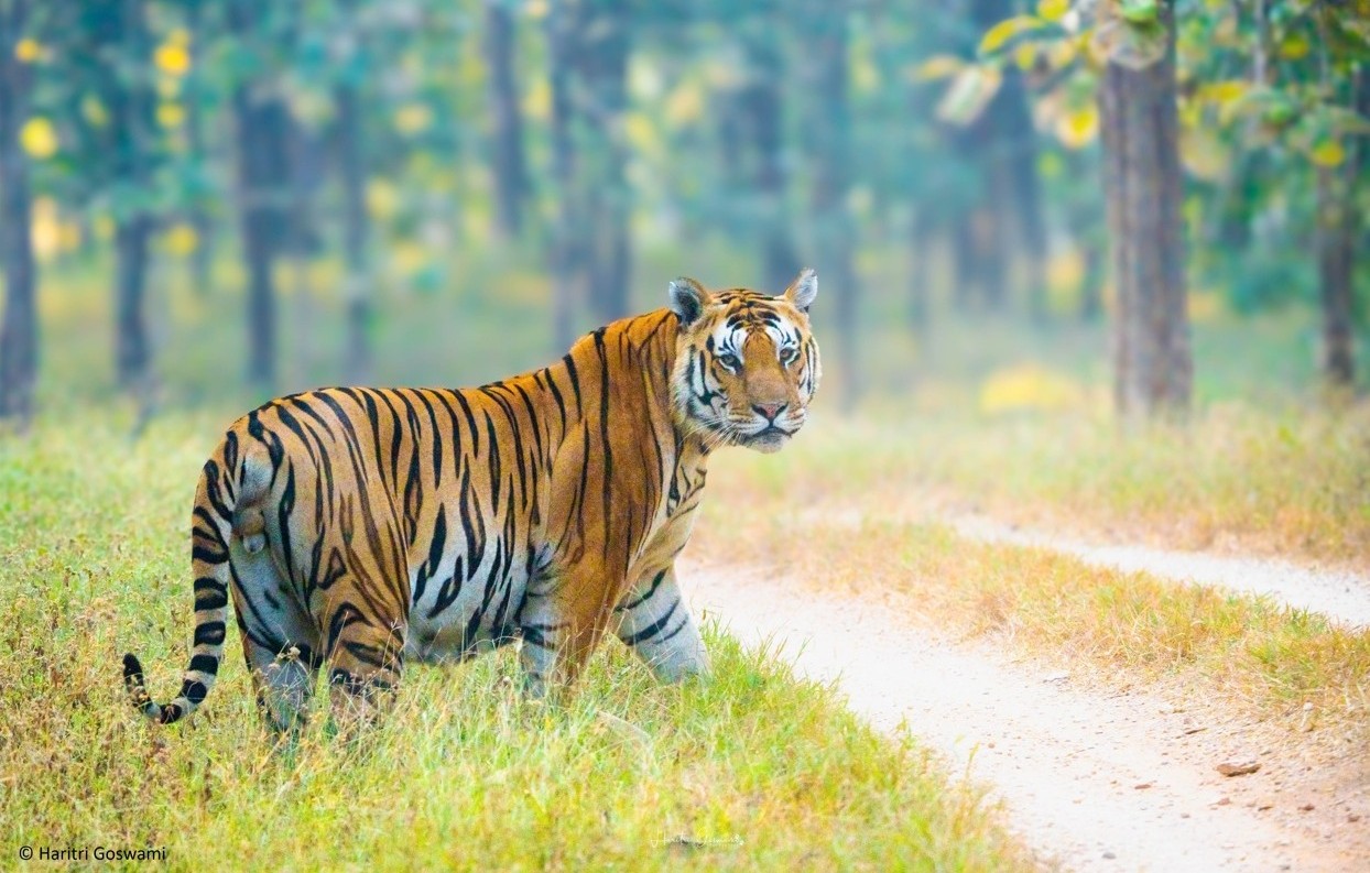 Photo Nepal is a biodiversity hotspot