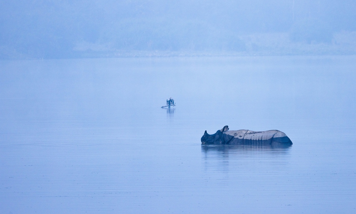 Photo Nepal is a biodiversity hotspot