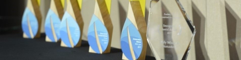 Header image for About SCB Awards