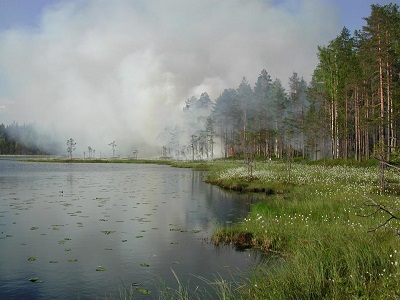 Photo Prescribed burn for restoration in central Sweden (Photo: B-G. Jonsson)