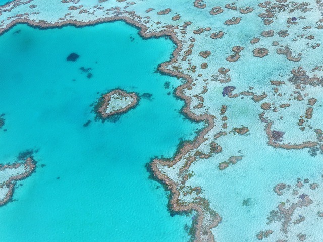 Photo The Great Barrier Reef is accessible by driving a few hours north.