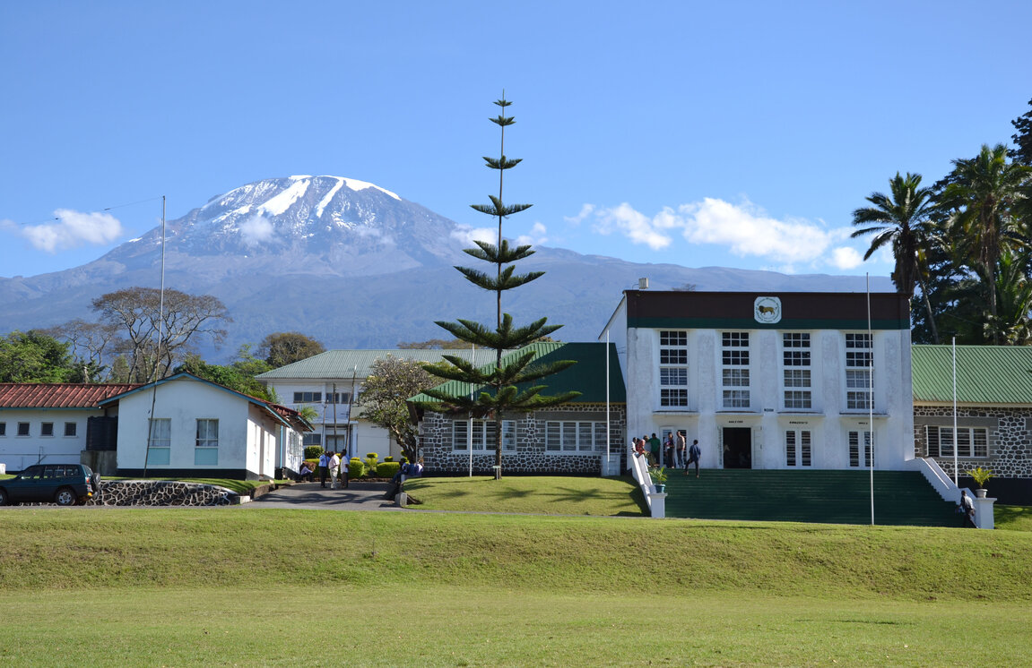 Photo The venue is in Moshi, Tanzania, the gateway to Kilimanjaro National Park.