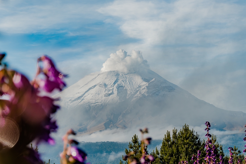 Photo Popocatépetl rises beyond the Puebla landscape, framed by wildflowers and mountain fo