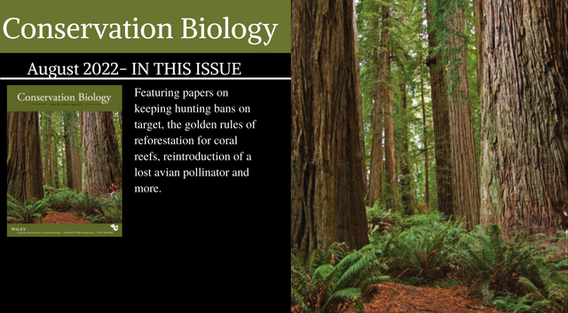 The August issue of Conservation Biology is now available!