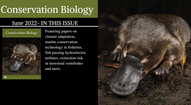 The June issue of Conservation Biology is now available!