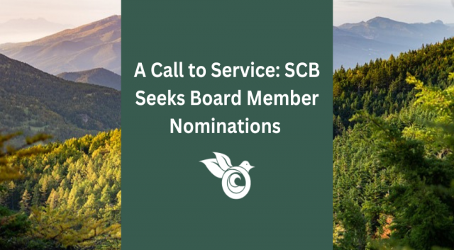 Serve on the SCB Global Network Board!