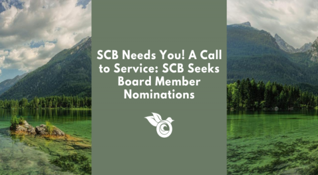 Submit your nominations to serve on the SCB Global Network Board!