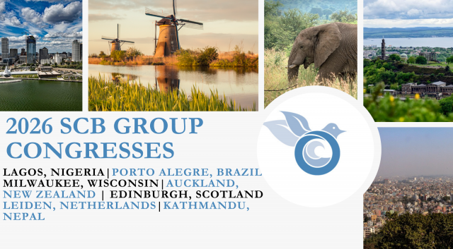 Attend one of our 2026 SCB Group Congresses!